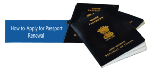 How to apply Passport Renewal Online by Official Website, Apps ...